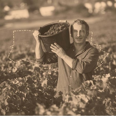 Domaine René Bouvier