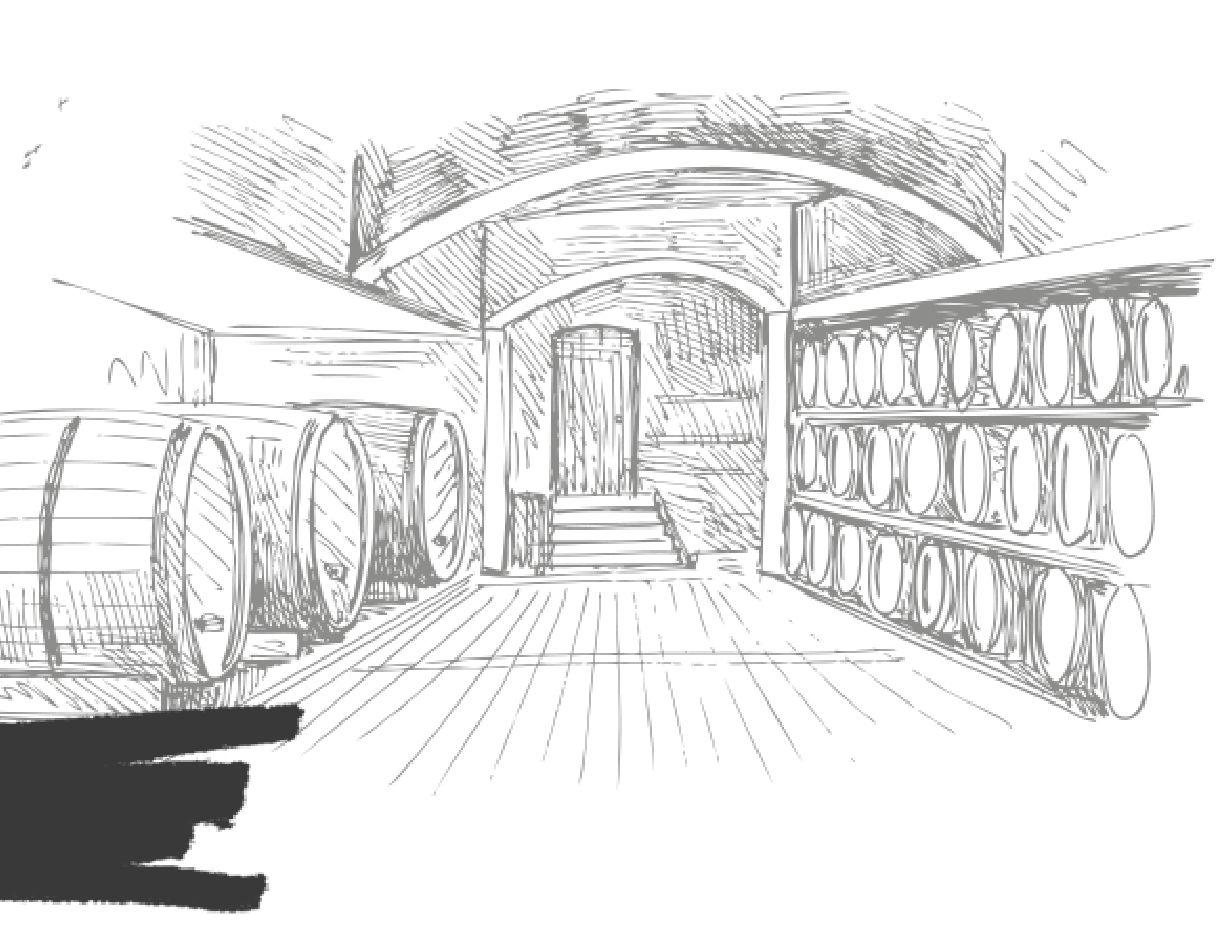 Wine cellar drawing