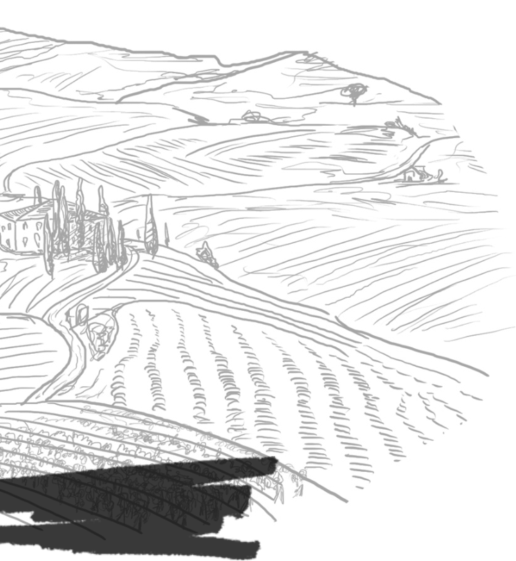 Dessin d'une vigne