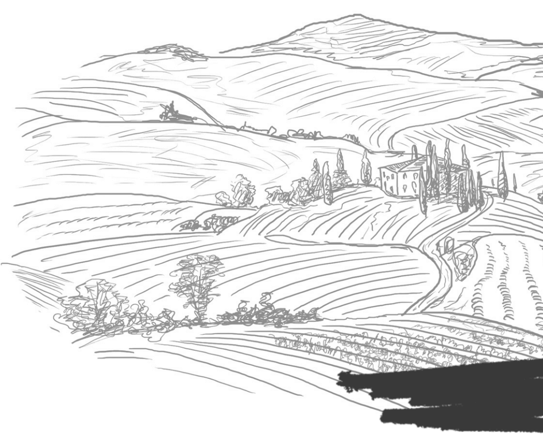 Dessin d'une vigne